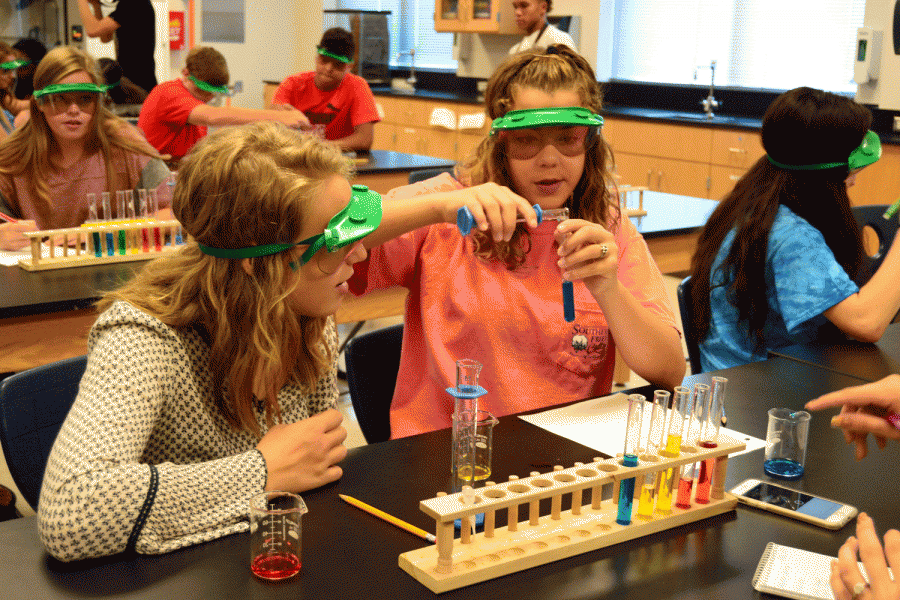 This is Sarah dolton (9) and her lab partner, McKenna Cooper (9) working on their color lab.