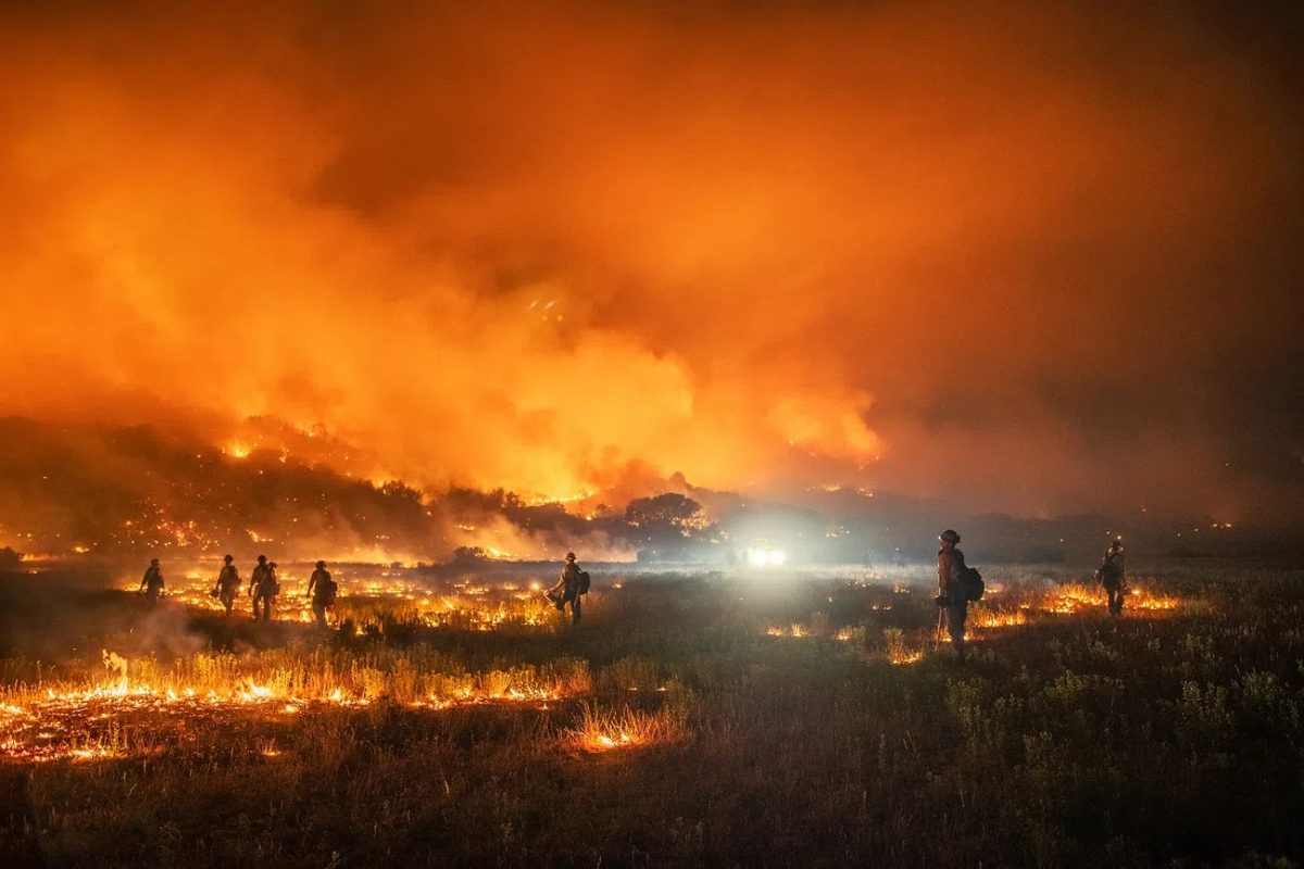 The fires rage in Maui, as they are trying to assess the damage. The damage could last for years to come.

- Creative Commons