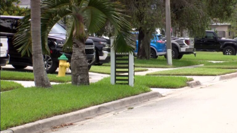 Florida Mother and 2-Year-Old Daughter Die After Lightning Strike in Margate, Neighbor Recalls ‘Loudest’ Thunder