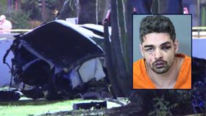 Man Driving Ford Mustang at 153 MPH Crashes Into Palm Trees, Sending Woman Flying 80 Feet to Her Death