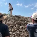 NYC Restaurants Are Saving Their Used Oyster Shells From Landfills to Help Bring New York Harbor’s Oyster Reefs Back