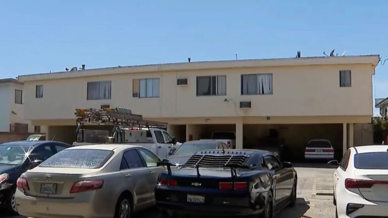 Pregnant Woman Among 2 Shot in California Car Shooting, Police Search for Gunman