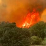 Southeast Texas Wildfire Threat Rises as Massive Ross Fire Burns More Than 50,000 Acres and Conditions Turn Dangerous