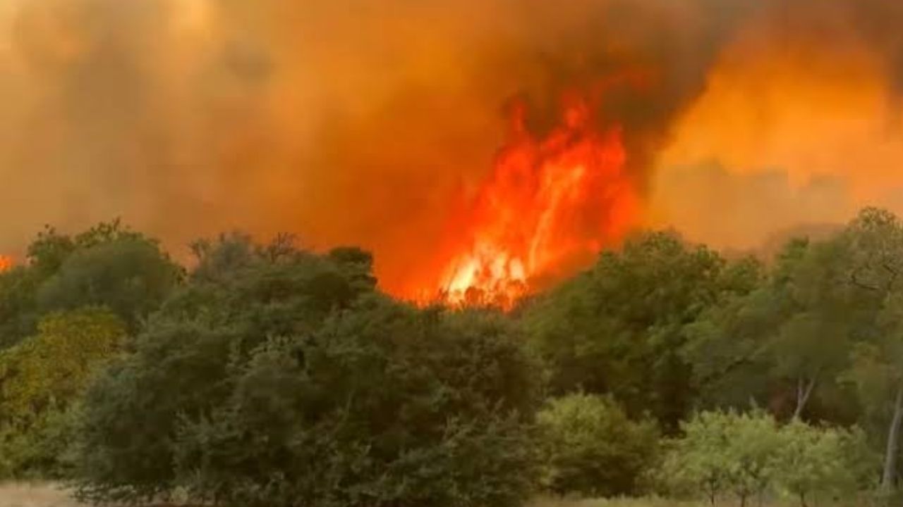 Southeast Texas Wildfire Threat Rises as Massive Ross Fire Burns More Than 50,000 Acres and Conditions Turn Dangerous