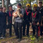 Tennessee Firefighters Rappel Down Cliff to Save Dog After 120-Foot Fall Leaves Him Stranded for 17 Hours