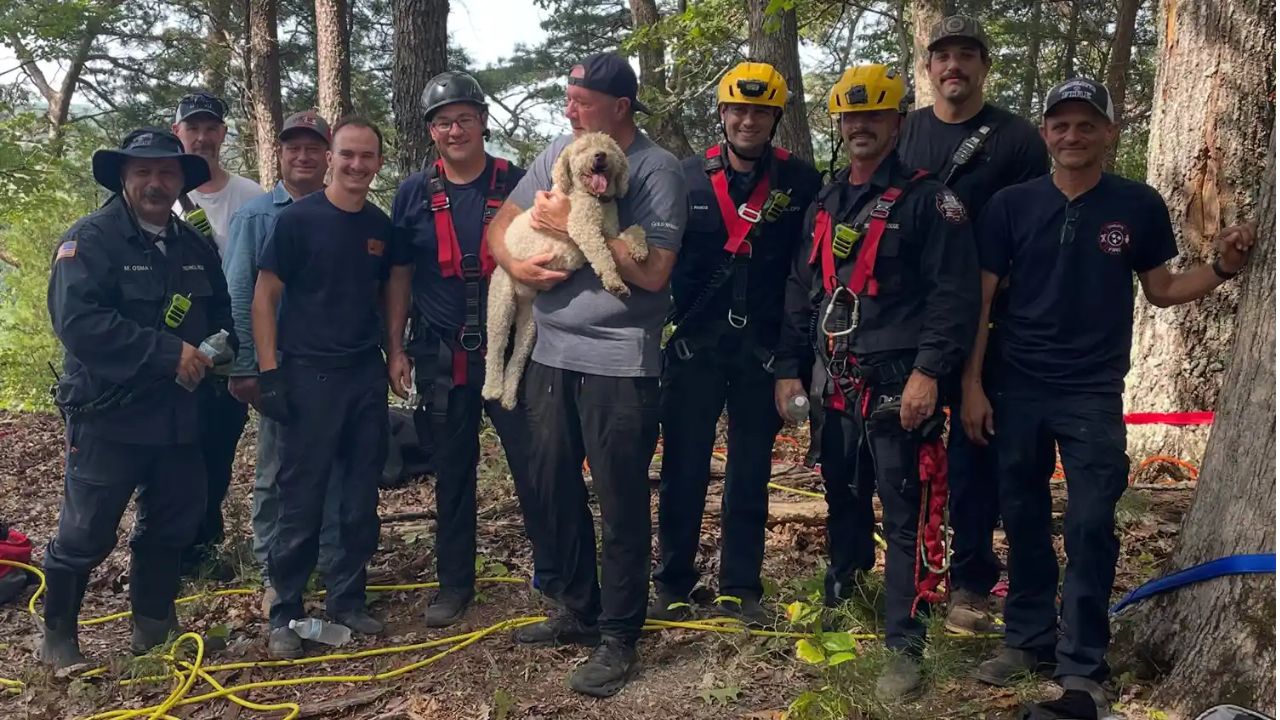Tennessee Firefighters Rappel Down Cliff to Save Dog After 120-Foot Fall Leaves Him Stranded for 17 Hours