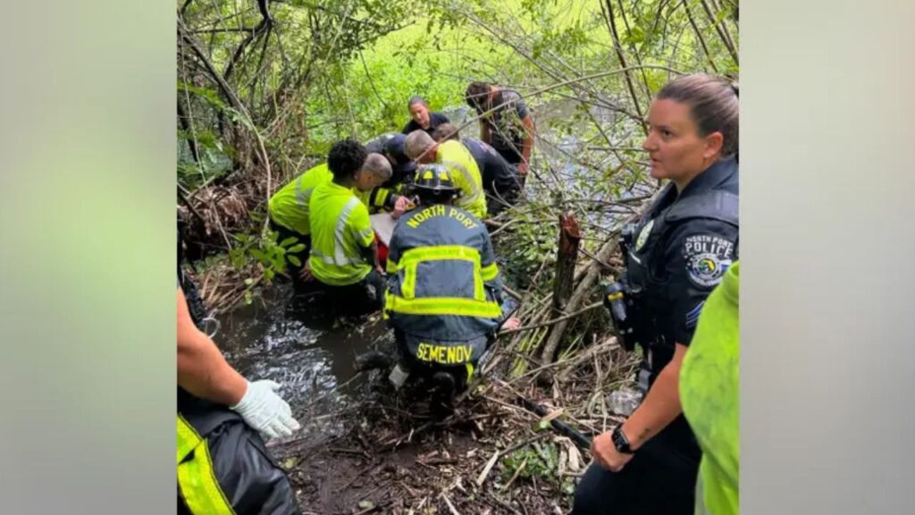 Walmart Workers Become Lifesavers After Car Plunges Into North Port Creek