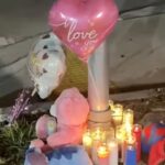 10-Year-Old Cheerleader Dies After Hit-and-Run Crash as Brother Recovers From Emergency Surgery