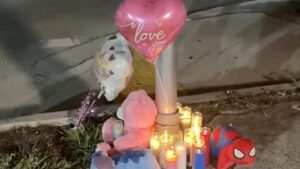 10-Year-Old Cheerleader Dies After Hit-and-Run Crash as Brother Recovers From Emergency Surgery