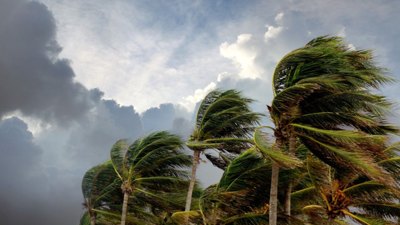 3 Tropical Systems Could Develop This Weekend as Mexico and the Southwest Watch Closely
