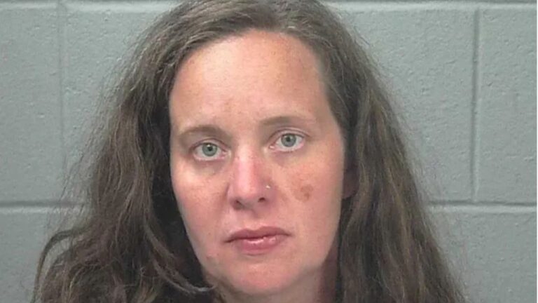 3-Year-Old Girl and Family Dog Found Dead in Hot Car as Maine Mom Pleads Guilty to Manslaughter