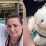 California Boater Dies While Trying to Rescue His Dog From Shasta Lake as Nearby Witness Rushes to Help