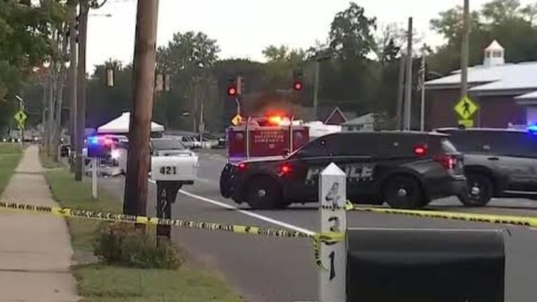 Connecticut Community Mourns 5-Year-Old Boy Killed While Walking Home From School