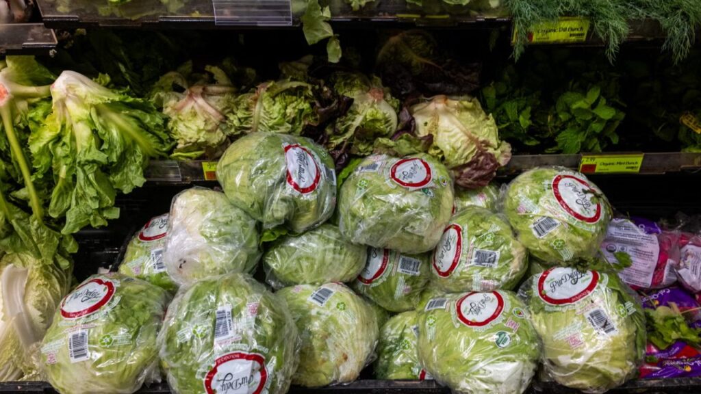 FDA Declares Massive Cyclospora Outbreak Over—but Mystery Behind 13,000 Cases Remains