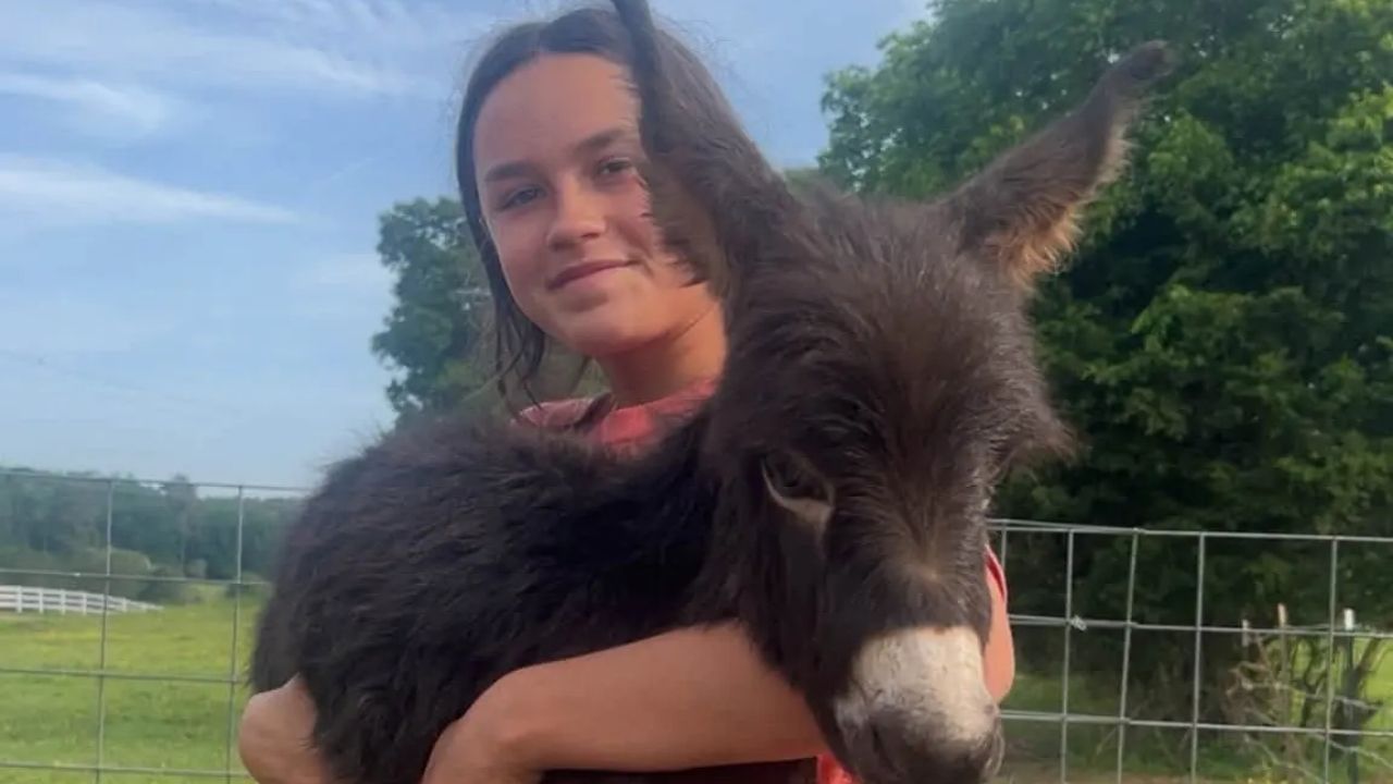 Family Seeks Justice After Beloved Donkey HeeHaw is Shot and Killed by Police in His Own Pasture