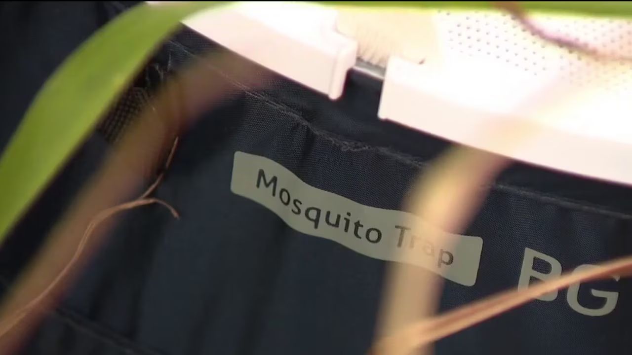 Florida Dengue Cases Near 70 as Officials Investigate Possible Death of Tampa Woman