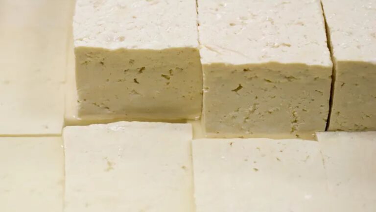 Major Food Recall Hits 29 States as More Than 10,000 Cases of Tofu Face Possible Ink Contamination