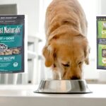 Pet Owners Urged to Check Freezers as Raw Cat and Dog Food Recalled Nationwide Over Dangerous Bacteria Risk