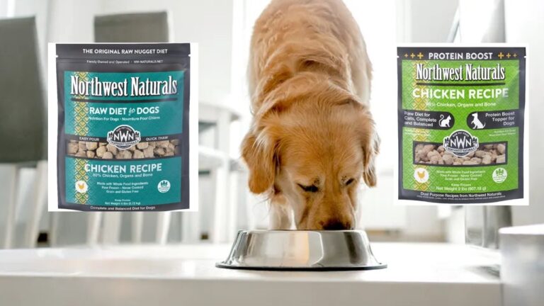 Pet Owners Urged to Check Freezers as Raw Cat and Dog Food Recalled Nationwide Over Dangerous Bacteria Risk