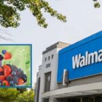 Walmart Berry Recall Expands Over E. Coli Contamination Risk as Shoppers in 16 States Urged to Check Their Freezers