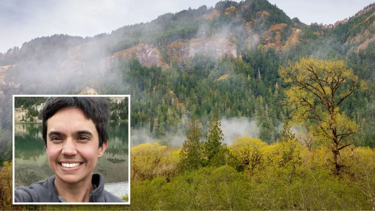 Washington National Park Search Underway After 26-Year-Old Hiker Disappears During Planned Backcountry Traverse